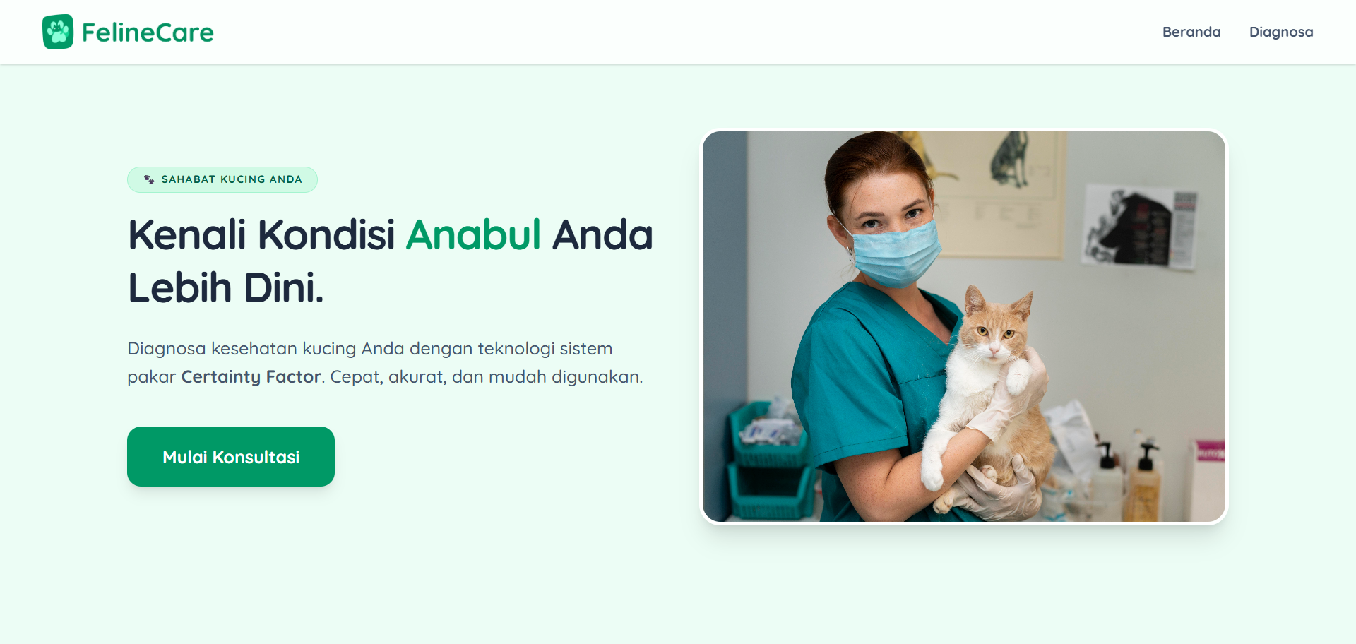 FelineCare
